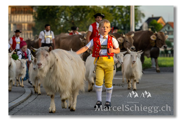 Marcel Schiegg Fotografie, Tradition, Brauchtum, Alpfahrt, Oeberefahre, Appenzell, Appenzellerland, Öberefahre
