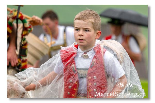 Marcel Schiegg Fotografie, Tradition, Brauchtum, Alpfahrt, Oeberefahre, Appenzell, Appenzellerland, Öberefahre