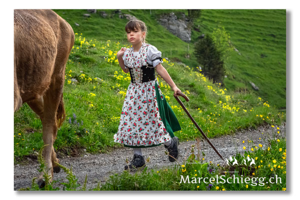 Marcel Schiegg Fotografie, Alpstein, Tradition, Brauchtum, Alpfahrt, Oeberefahre, Appenzell