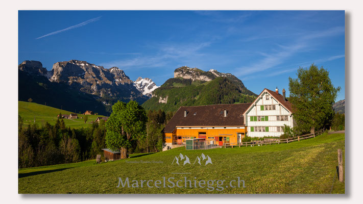 Appenzellerland Art.-Nr. MS8-2232-Juni