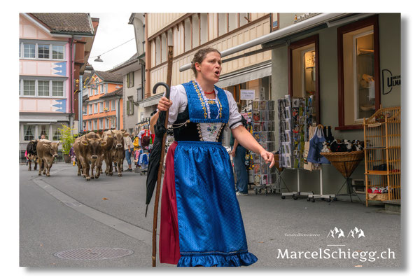 Marcel Schiegg Fotografie, Tradition, Brauchtum, Alpfahrt, Oeberefahre, Appenzell, Hauptgasse