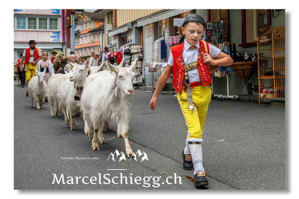 Marcel Schiegg Fotografie, Tradition, Brauchtum, Alpfahrt, Oeberefahre, Appenzell, Hauptgasse