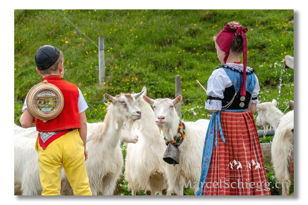 Marcel Schiegg Fotografie, Tradition, Brauchtum, Alpfahrt, Oeberefahre, Appenzell, Appenzellerland, Öberefahre, Alpstein