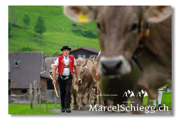 Marcel Schiegg Fotografie, Tradition, Brauchtum, Alpfahrt, Oeberefahre, Appenzell, Appenzellerland, Öberefahre