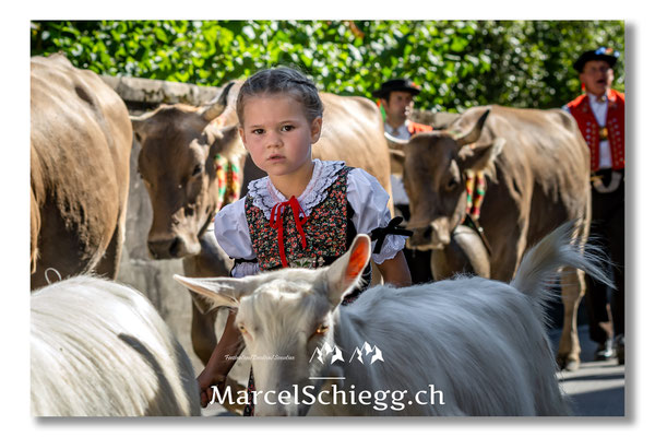 Öberefahre/Alpfahrt Art.-Nr. MS5-4378/16