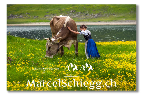 Marcel Schiegg Fotografie, Tradition, Brauchtum, Alpfahrt, Oeberefahre, Appenzell, Alpstein, Sämtis, Sämtisersee, Hornkuh