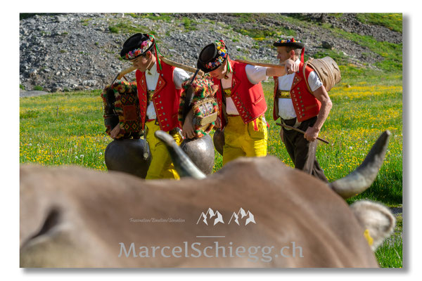 Marcel Schiegg Fotografie, Seealp, Alpstein, Tradition, Brauchtum, Alpfahrt, Oeberefahre, Appenzell