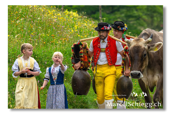 Marcel Schiegg Fotografie, Seealp, Alpstein, Tradition, Brauchtum, Alpfahrt, Oeberefahre, Appenzell, Senntumschellen