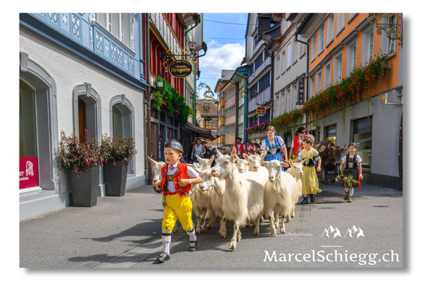 Marcel Schiegg Fotografie, Hauptgasse, Tradition, Brauchtum, Oeberefahre, Alpfahrt, Appenzell