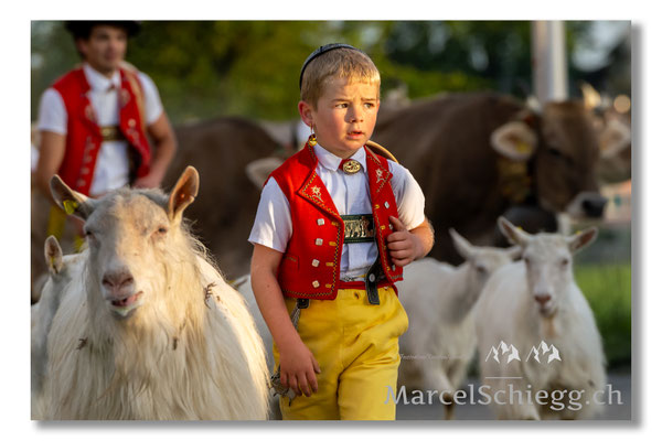 Marcel Schiegg Fotografie, Tradition, Brauchtum, Alpfahrt, Oeberefahre, Appenzell, Appenzellerland, Öberefahre