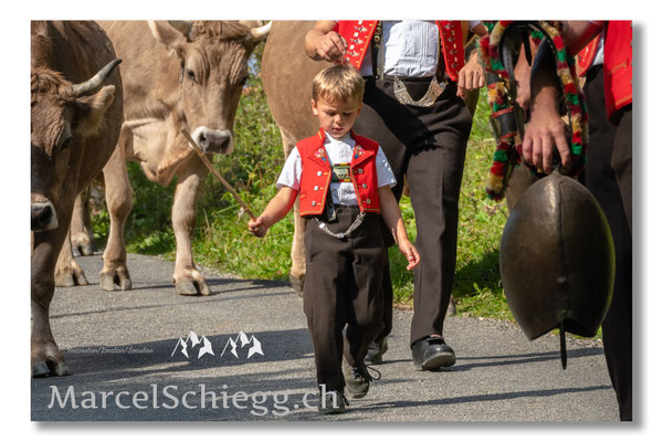 Marcel Schiegg Fotografie, Alpstein, Tradition, Brauchtum, Alpfahrt, Oeberefahre, Appenzell