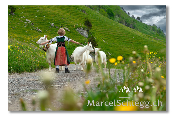 Marcel Schiegg Fotografie, Alpstein, Tradition, Brauchtum, Alpfahrt, Oeberefahre, Appenzell