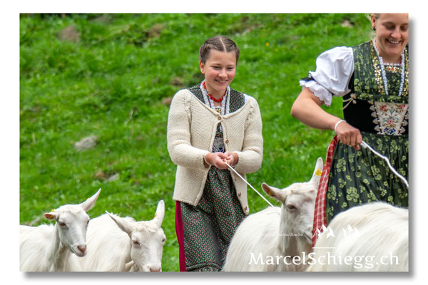 Marcel Schiegg Fotografie, Seealp, Alpstein, Tradition, Brauchtum, Alpfahrt, Oeberefahre, Appenzell