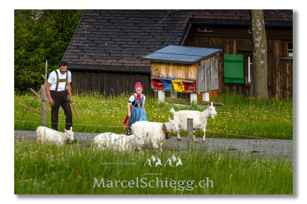 Marcel Schiegg Fotografie, Tradition, Brauchtum, Alpfahrt, Oeberefahre, Appenzell, Appenzellerland, Öberefahre, Alpstein