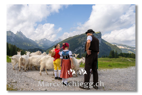 Marcel Schiegg Fotografie, Tradition, Brauchtum, Alpfahrt, Oeberefahre, Appenzell, Appenzellerland, Öberefahre, Alpstein