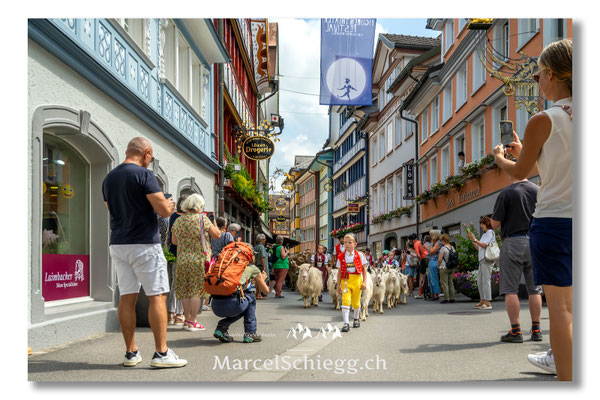 Marcel Schiegg Fotografie, Tradition, Brauchtum, Alpfahrt, Oeberefahre, Appenzell, Appenzellerland, Öberefahre, Hauptgasse