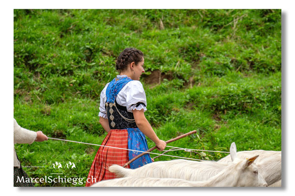 Marcel Schiegg Fotografie, Seealp, Alpstein, Tradition, Brauchtum, Alpfahrt, Oeberefahre, Appenzell