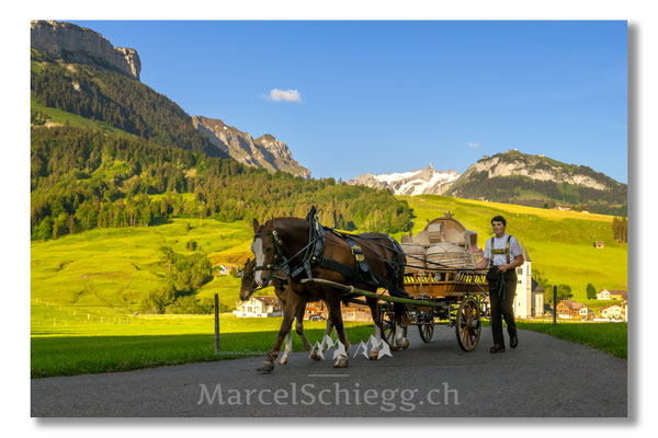 Marcel Schiegg Fotografie, Tradition, Brauchtum, Alpfahrt, Oeberefahre, Appenzell, Appenzellerland, Öberefahre, Lediwagen