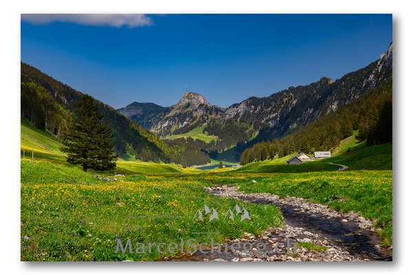 Hoher Kasten/Sämtisersee/Rheintaler Sämtis Art.-Nr. MS5-2804-Mai