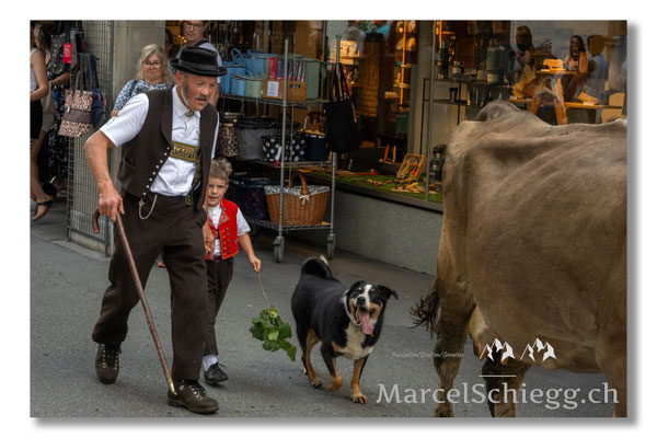 Marcel Schiegg Fotografie, Tradition, Brauchtum, Alpfahrt, Oeberefahre, Appenzell, Appenzellerland, Öberefahre, Hauptgasse