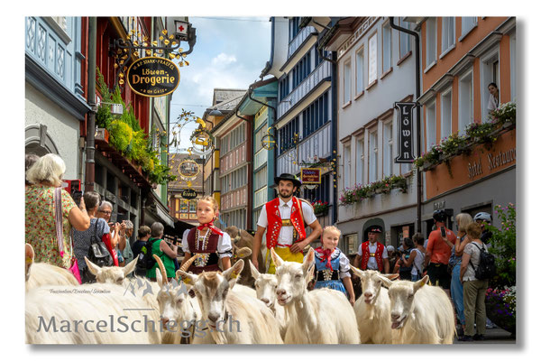 Marcel Schiegg Fotografie, Tradition, Brauchtum, Alpfahrt, Oeberefahre, Appenzell, Appenzellerland, Öberefahre, Hauptgasse