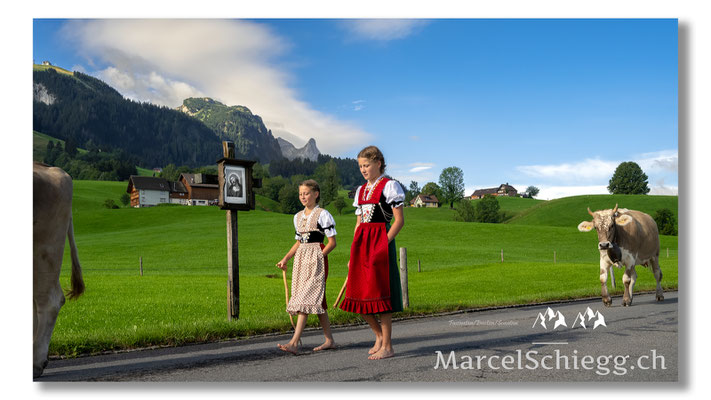 Öberefahre/Alpfahrt Art.-Nr. MZ7-4449