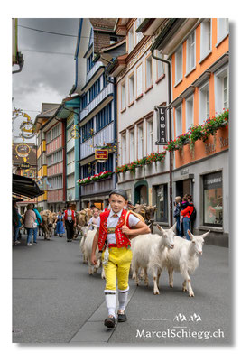 Marcel Schiegg Fotografie, Tradition, Brauchtum, Alpfahrt, Oeberefahre, Appenzell, Hauptgasse