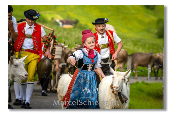 Marcel Schiegg Fotografie, Tradition, Brauchtum, Alpfahrt, Oeberefahre, Appenzell, Appenzellerland, Öberefahre, Alpstein