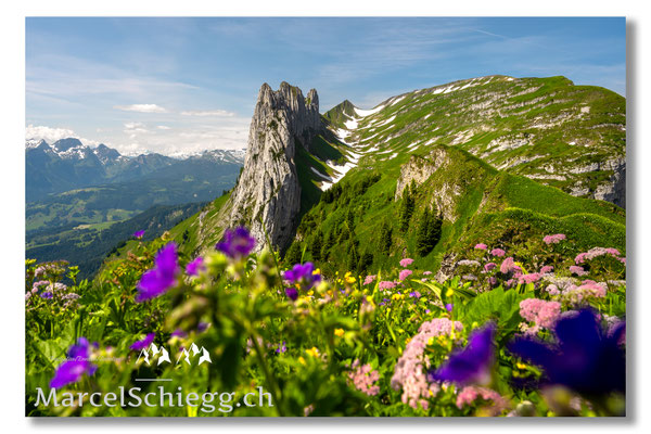 Marcel Schiegg Fotografie, Marcel Schiegg, Kreuzberge, Saxerlücke, Bollenwees, Alpstein