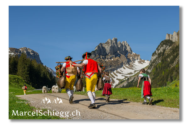 Marcel Schiegg Fotografie, Tradition, Brauchtum, Alpfahrt, Oeberefahre, Appenzell, Appenzellerland, Alpstein, Sämtis, Senntumschellen