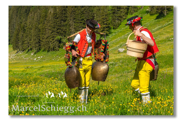 Marcel Schiegg Fotografie, Tradition, Brauchtum, Alpfahrt, Oeberefahre, Appenzell, Appenzellerland, Öberefahre, Alpstein