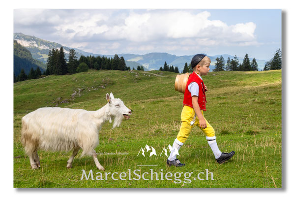 Marcel Schiegg Fotografie, Tradition, Brauchtum, Alpfahrt, Oeberefahre, Appenzell, Appenzellerland, Öberefahre, Alpstein