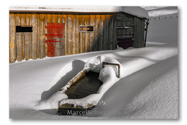 Alpstein/Winterimpressionen Art.-Nr. MS8-5268-Januar