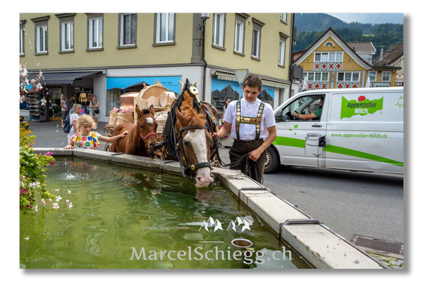 Marcel Schiegg Fotografie, Tradition, Brauchtum, Alpfahrt, Oeberefahre, Appenzell, Appenzellerland, Öberefahre, Hauptgasse, Lediwagen, Landsgemeindeplatz