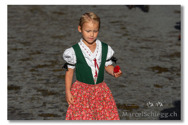 Vechschau/Viehschau Art.-Nr. MZ7-8369-Oktober