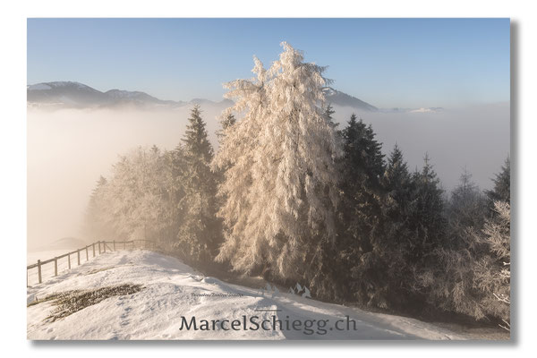 Appenzellerland/Winterimpressionen Art.-Nr. MZ7-1495