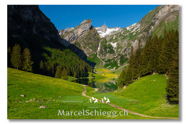 Seealpsee Art.-Nr. MS8-1109