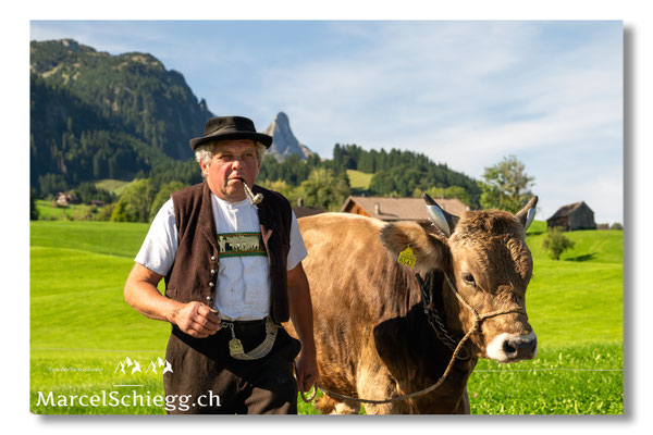 Marcel Schiegg Fotografie, Tradition, Brauchtum, Alpfahrt, Oeberefahre, Appenzell, Appenzellerland, Öberefahre, Alpstein