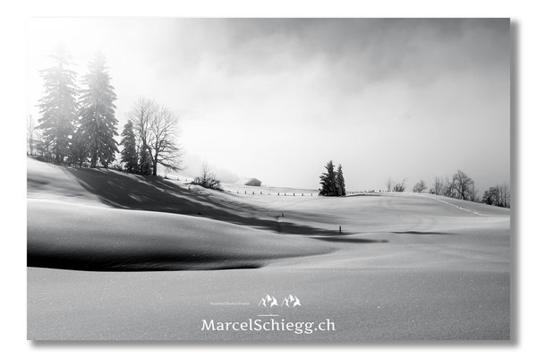 Alpstein/Winterimpressionen Art.-Nr. MS8-5362