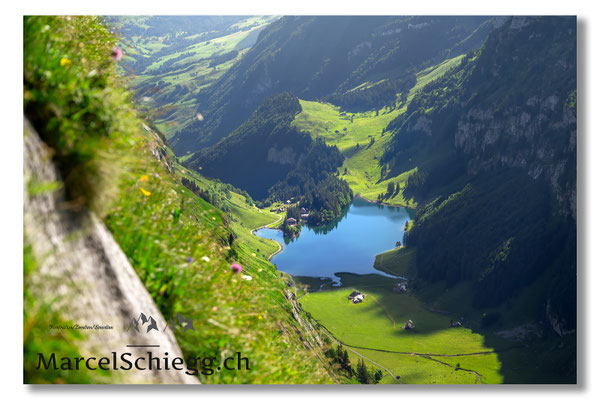 Seealpsee Art.-Nr. MZ7-3231