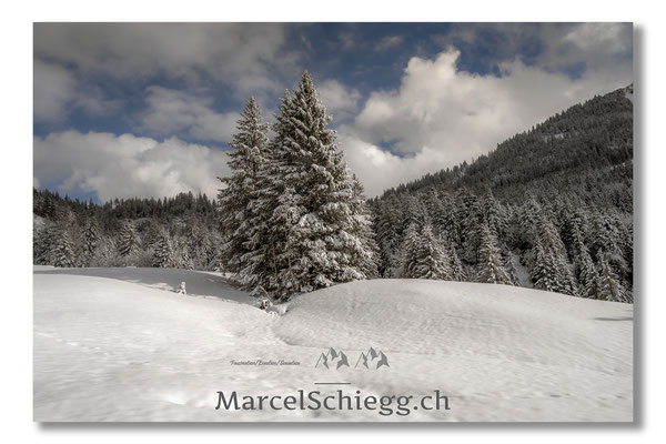 Alpstein/Winterimpressionen Art.-Nr. MZ7-6001