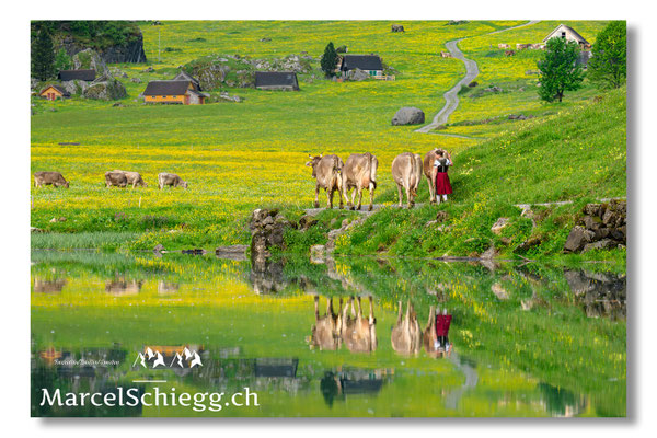 Marcel Schiegg Fotografie, Seealpsee, Alpstein, Tradition, Brauchtum, Alpfahrt, Oeberefahre, Appenzell
