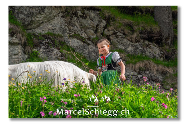 Marcel Schiegg Fotografie, Tradition, Brauchtum, Alpfahrt, Oeberefahre, Appenzell, Alpstein, Sämtis