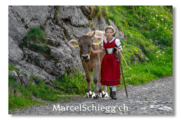 Marcel Schiegg, Tradition, Brauchtum, Alpfahrt, Oeberefahre, Appenzell