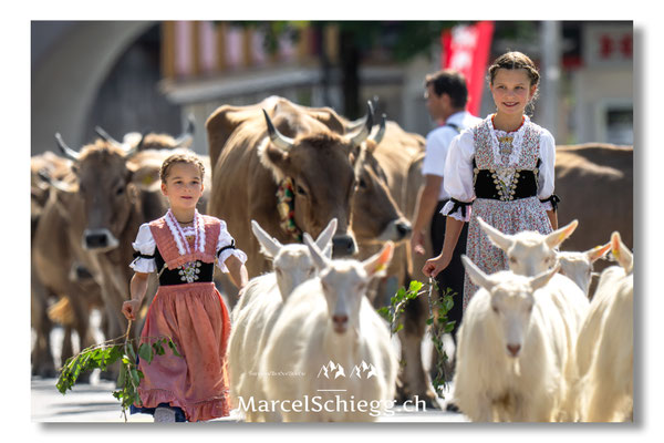 Marcel Schiegg Fotografie, Tradition, Brauchtum, Alpfahrt, Oeberefahre, Appenzell, Appenzellerland, Öberefahre, Alpstein