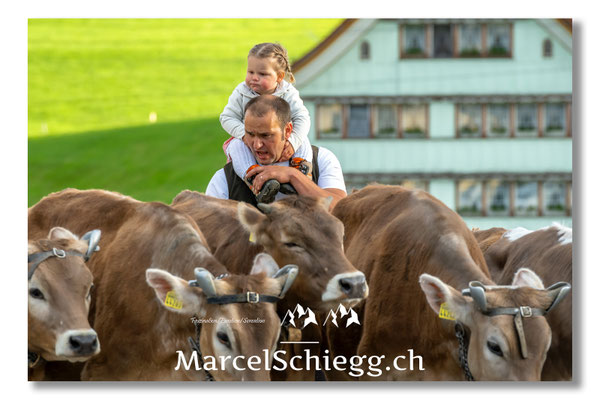 Marcel Schiegg Fotografie, Tradition, Brauchtum, Alpfahrt, Oeberefahre, Appenzell, Appenzellerland