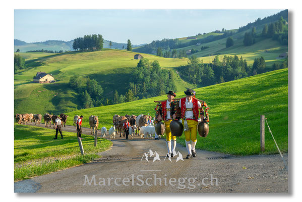 Marcel Schiegg Fotografie, Tradition, Brauchtum, Alpfahrt, Oeberefahre, Appenzell, Appenzellerland, Öberefahre, Alpstein