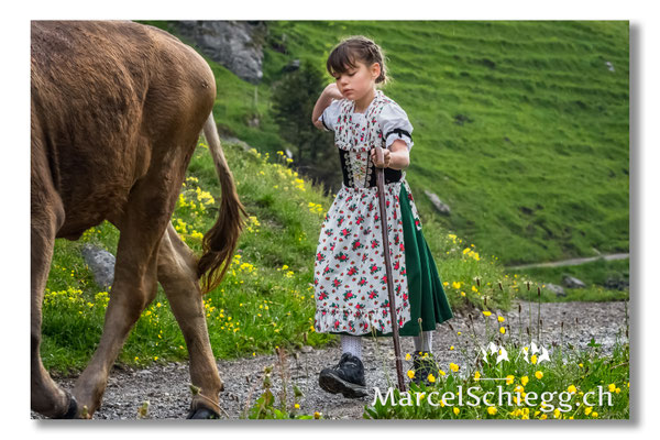 Marcel Schiegg Fotografie, Alpstein, Tradition, Brauchtum, Alpfahrt, Oeberefahre, Appenzell