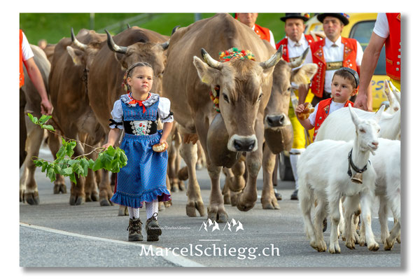 Marcel Schiegg Fotografie, Tradition, Brauchtum, Alpfahrt, Oeberefahre, Appenzell, Appenzellerland