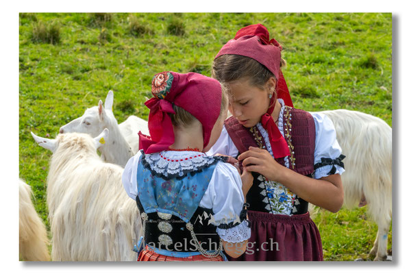 Marcel Schiegg Fotografie, Tradition, Brauchtum, Alpfahrt, Oeberefahre, Appenzell, Appenzellerland, Öberefahre, Alpstein, Appenzeller Tracht